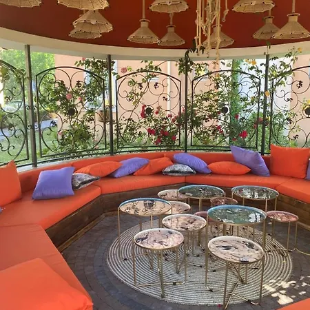 Hacienda Complex- Nicoleta *