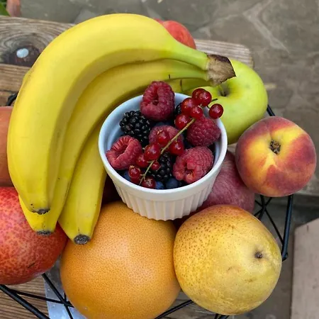 Hacienda Complex- Nicoleta Lejlighed Sozopol